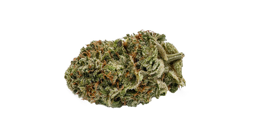 Best Indica Strains, Here Are The 4 Best Indica Strains In Scarborough