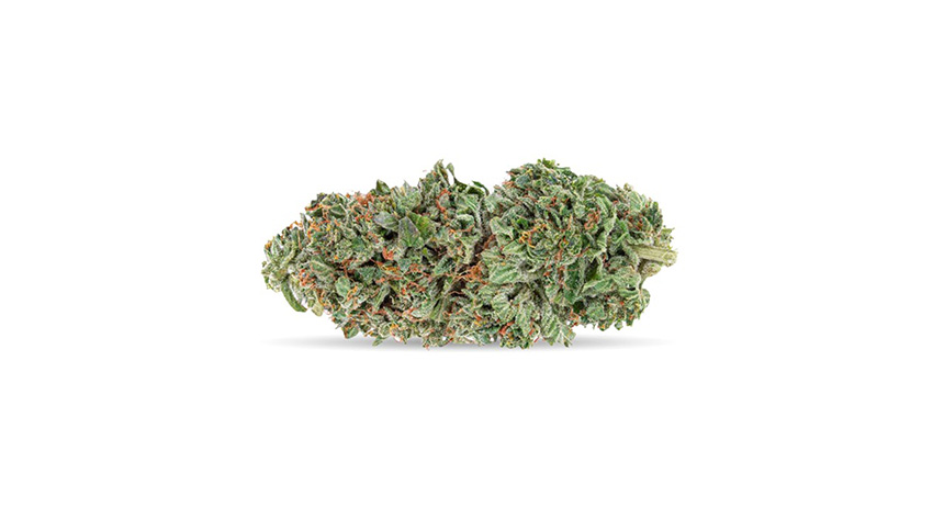 Image of daily special indica weed strain. The best indica strain for sleep.